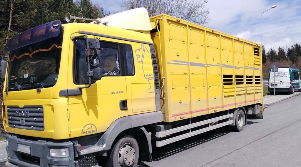 inspekcja transportu drogowego, przewóz produktów rolno-spozywczych, przewóz zwierząt, kontrola pojazdów