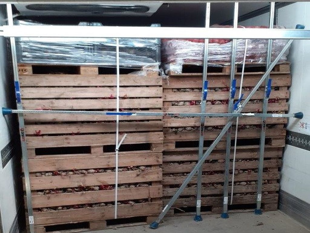 buraki cukrowe, cukier, produkcja, uprawa buraków, ministserstwo rolnictwa, Krzysztof Jurgiel
