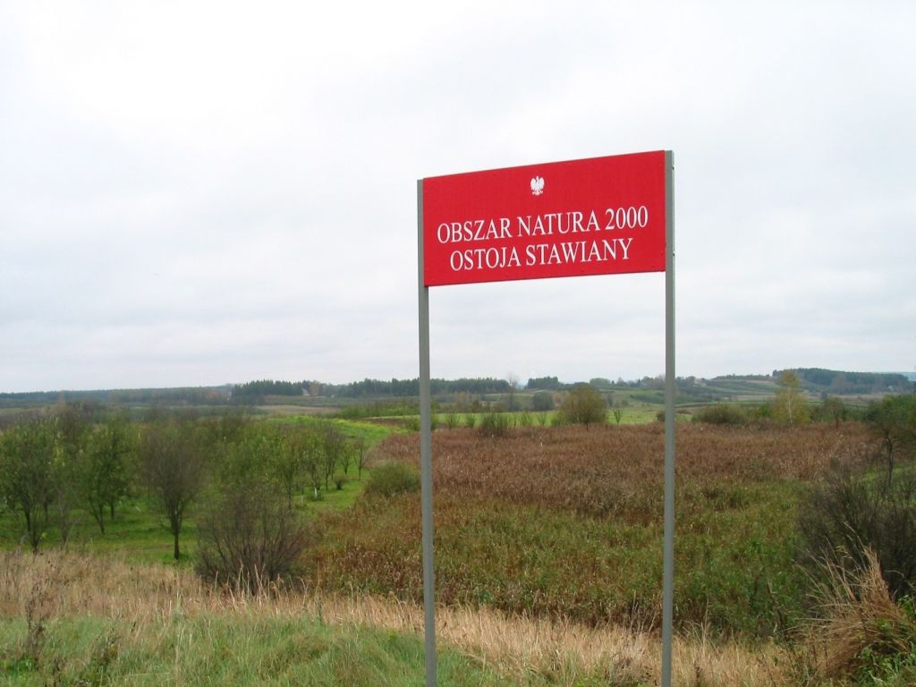 sieć Natura 2000, Komisja Europejska, Europejski Zielony Ład, dyrektywa siedliskowa i ptasia