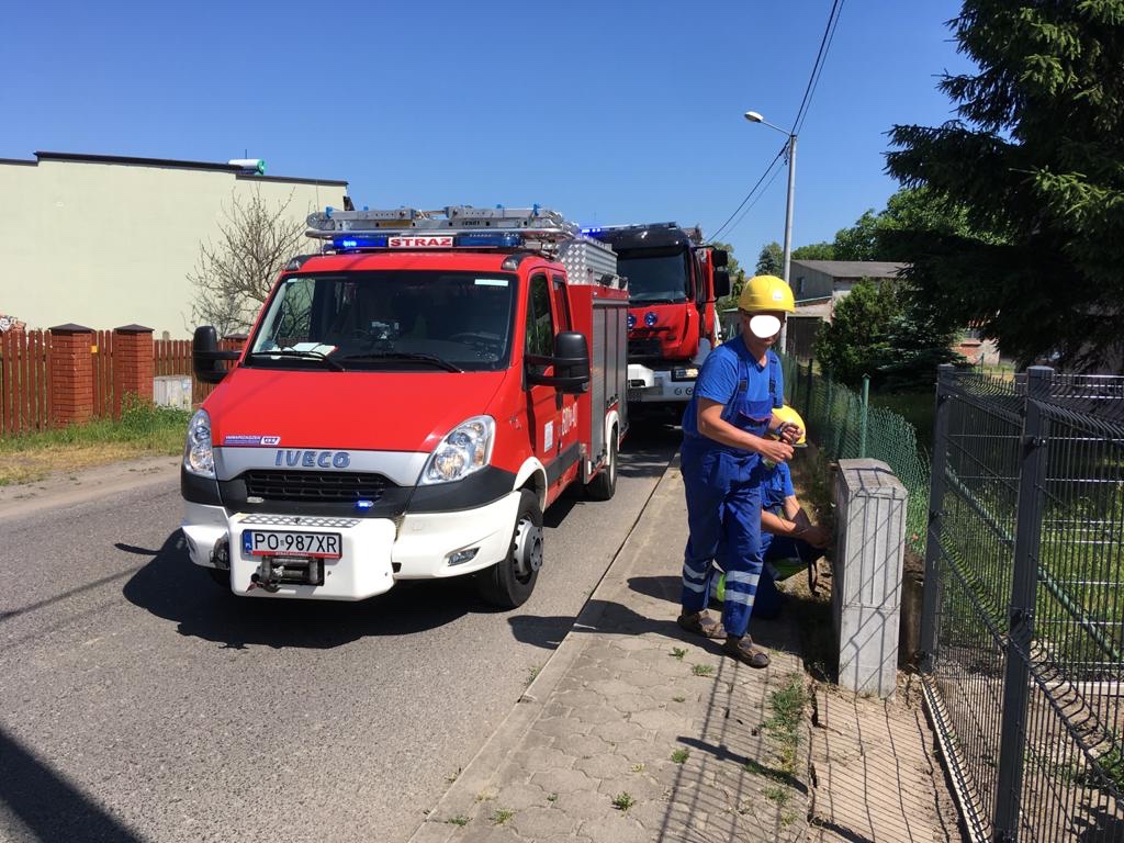 rolnik porażony prądem, Nochowo, powiat śremski, Tomasz Kierzek