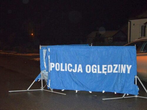 Kozin, powiat przasnyski, koń wbiegł na drogę, opieka nad zwierzętami