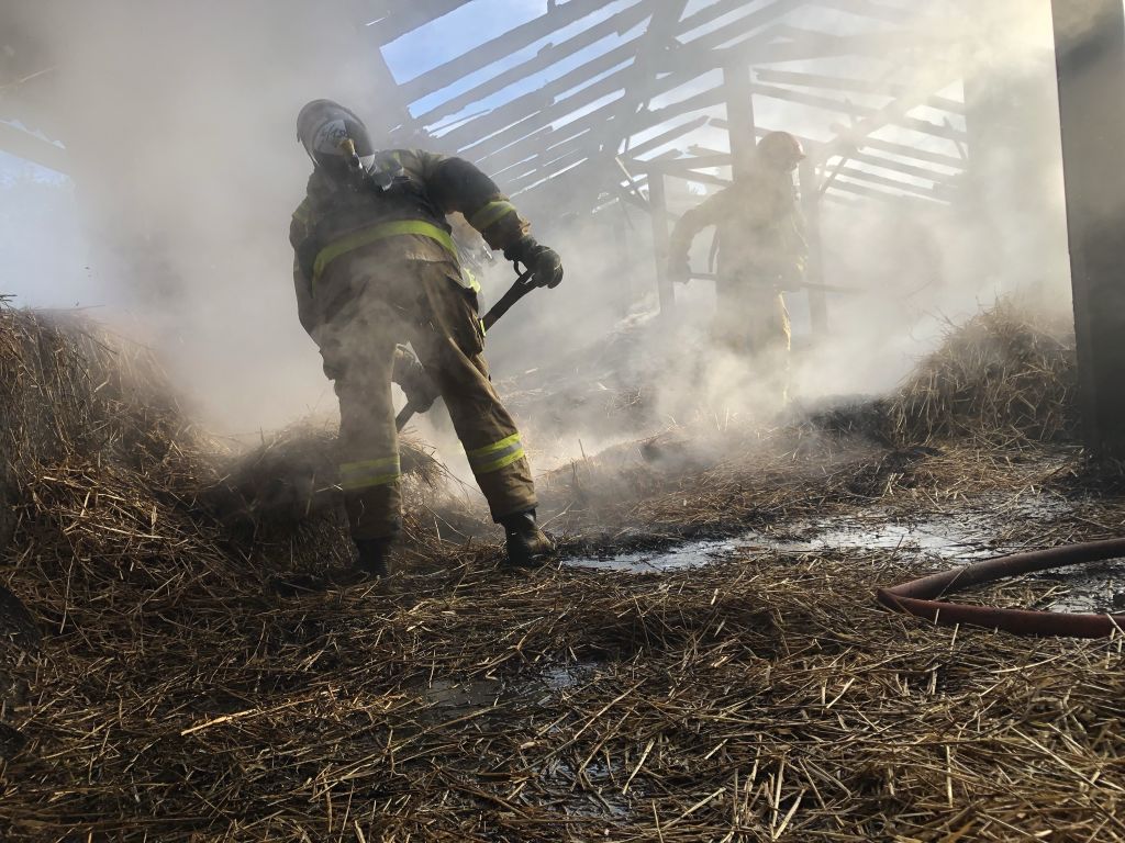 pożar chlewni w Starym Koźlu, KP PSP w Kędzierzynie Koźlu, hodowla trzody chlewnej