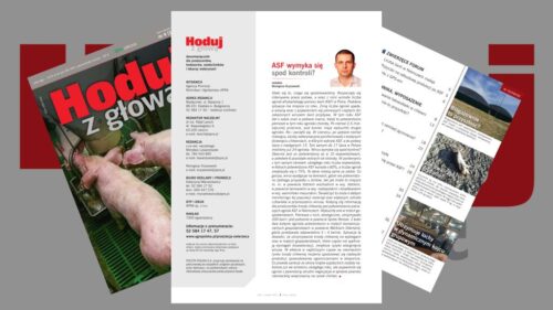Instytut Ekonomiki Rolnictwa i Gospodarki Żywnościowej, poglowie świń w polsce, trzoda chlewna