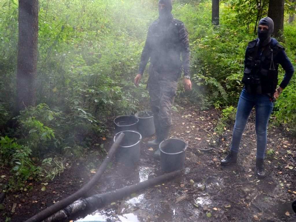 kas, bimber, leśna bimbrownia
