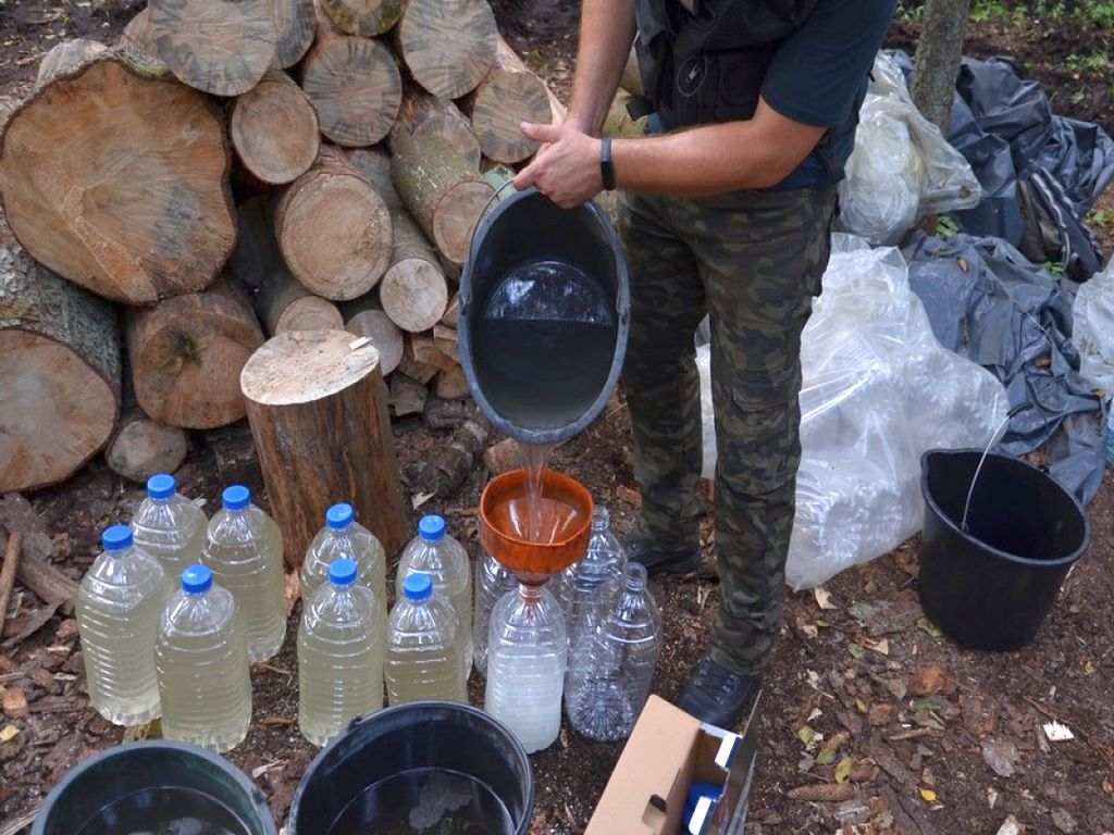 kas, bimber, leśna bimbrownia