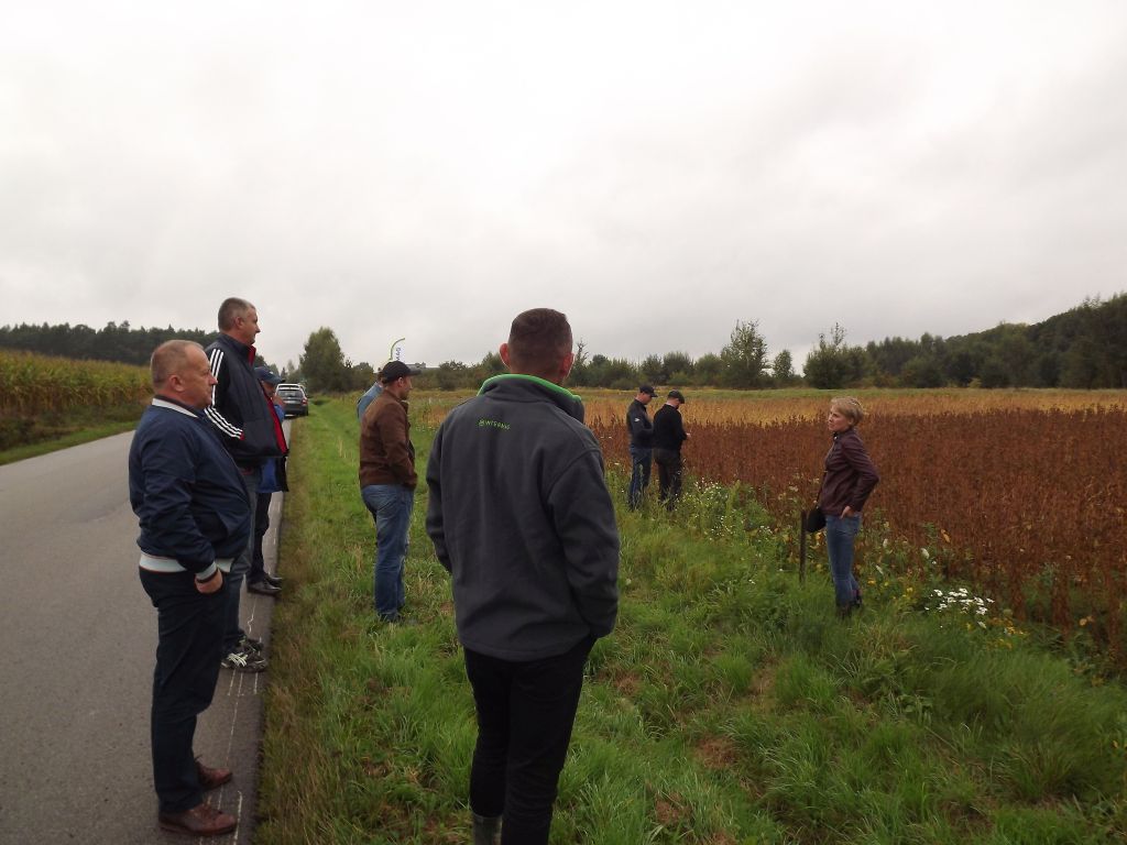 Agroyoumis, Nataliia Sibirtseva, uprawa soi, słonecznik, Strzałkowo, powiat radomski