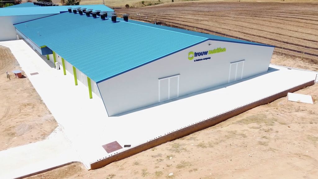 Trouw Nutrition, drób, pisklęta, antybiotyki, żywienie drobiu, pasza, woda, brojlery, kurczęta, hodowla drobiu