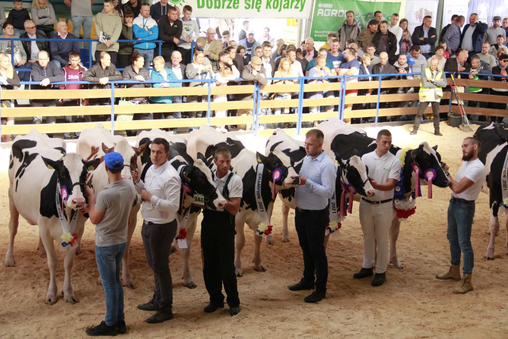 targi w Szepietowie, najatrakcyjniejsze stoisko, wystawa zwierząt, maszyny rolnicze, pokazy, doradztwo,