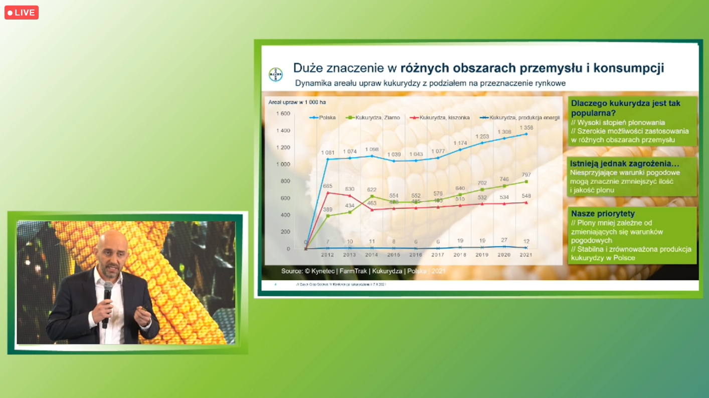 spotkania polowe firmy Bayer, Strzeszkowice Duże, rzepak ozimy Dekalb