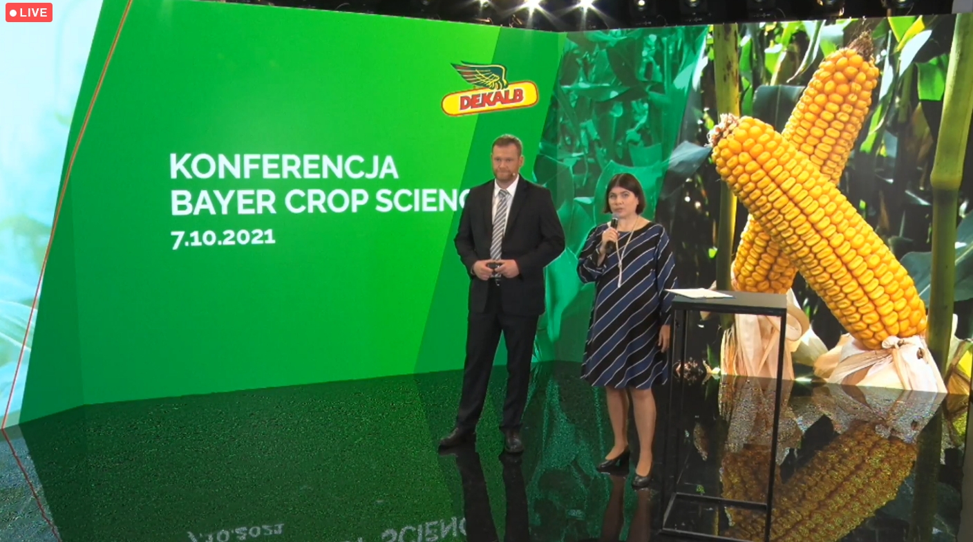 spotkania polowe firmy Bayer, Strzeszkowice Duże, rzepak ozimy Dekalb