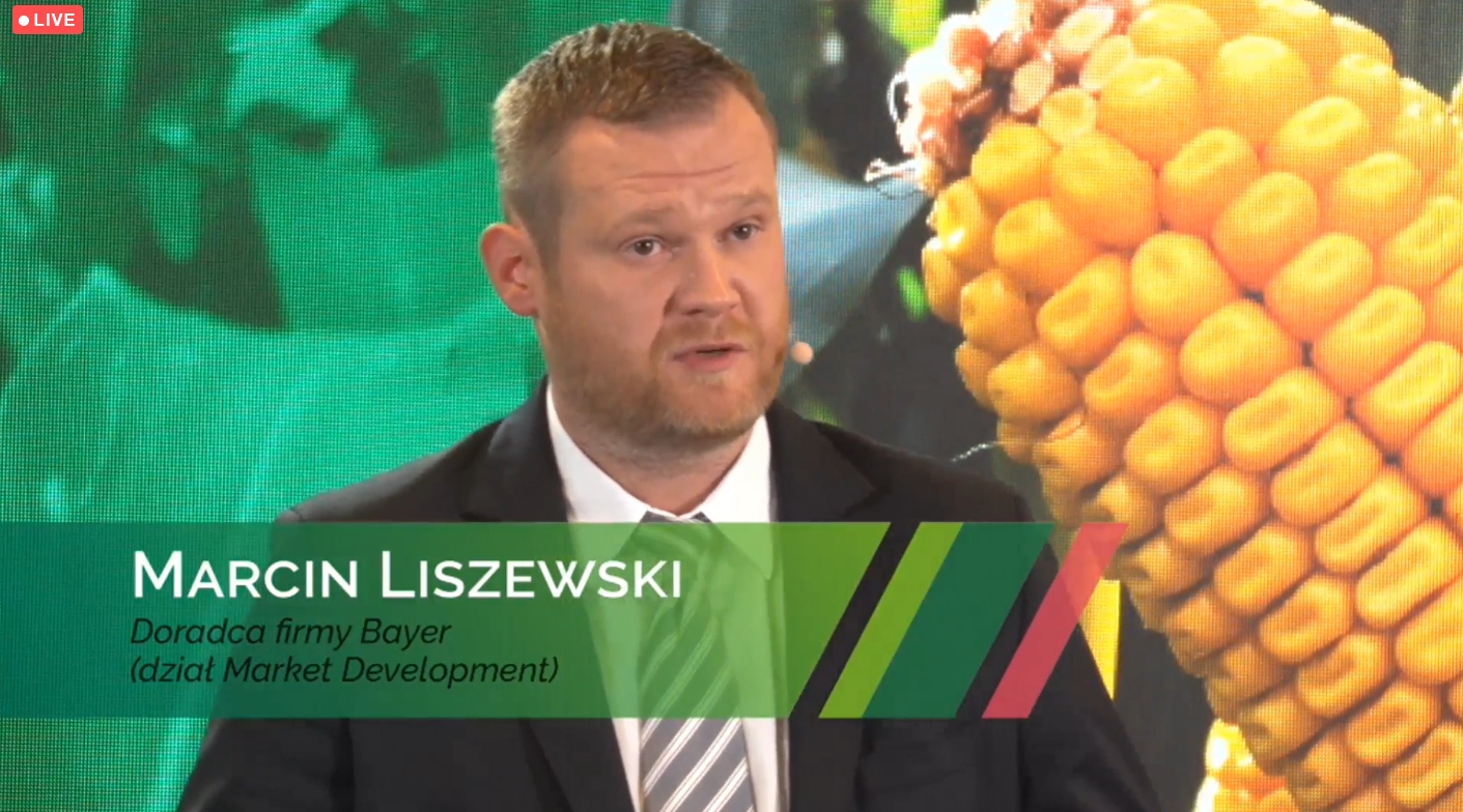 spotkania polowe firmy Bayer, Strzeszkowice Duże, rzepak ozimy Dekalb