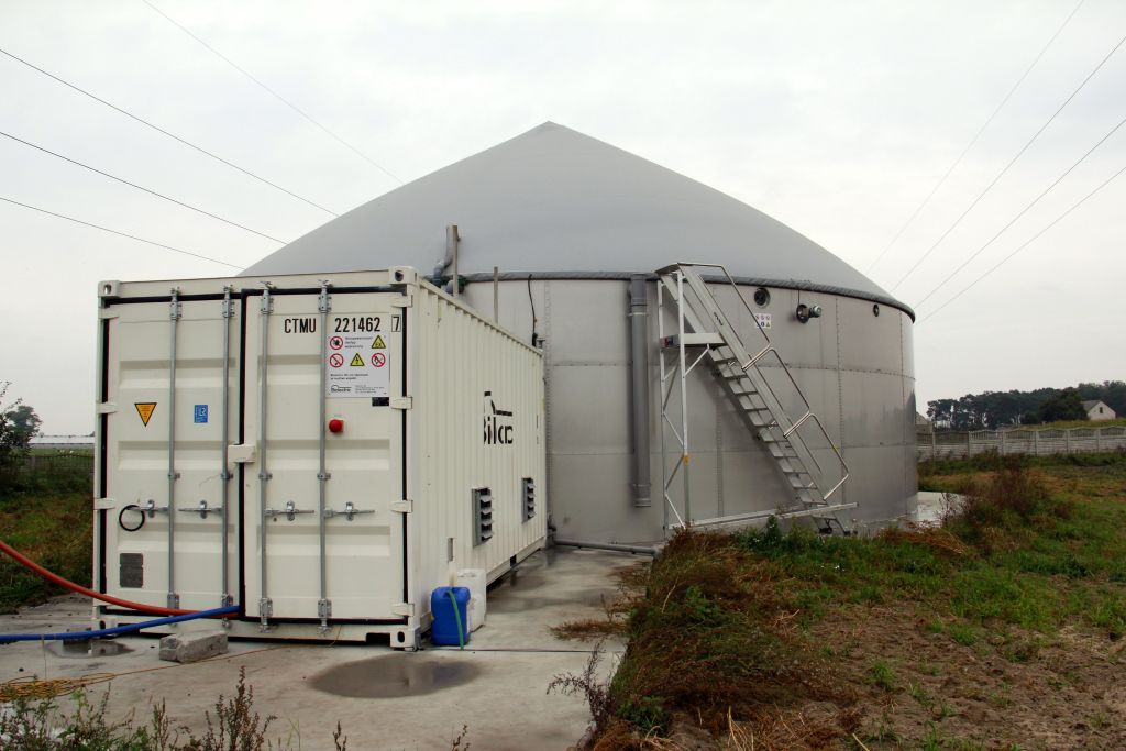 biogazownia rolnicza, gnojowica, produkcja tuczników, Dąbrowski,