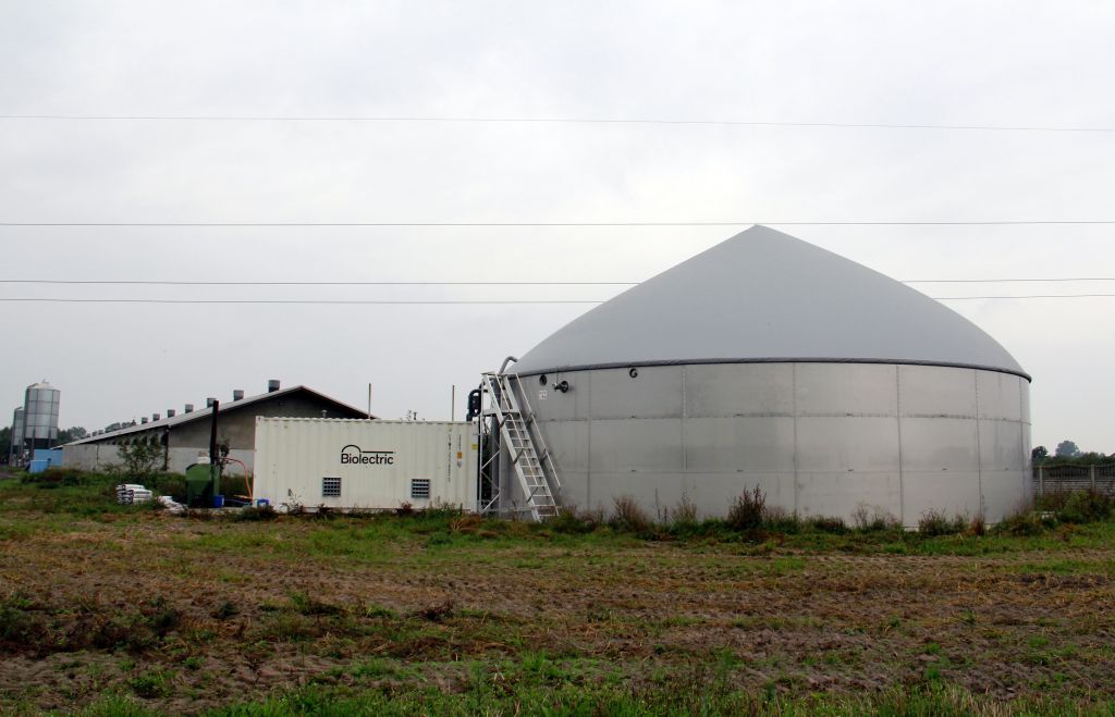 biogazownia rolnicza, gnojowica, produkcja tuczników, Dąbrowski,