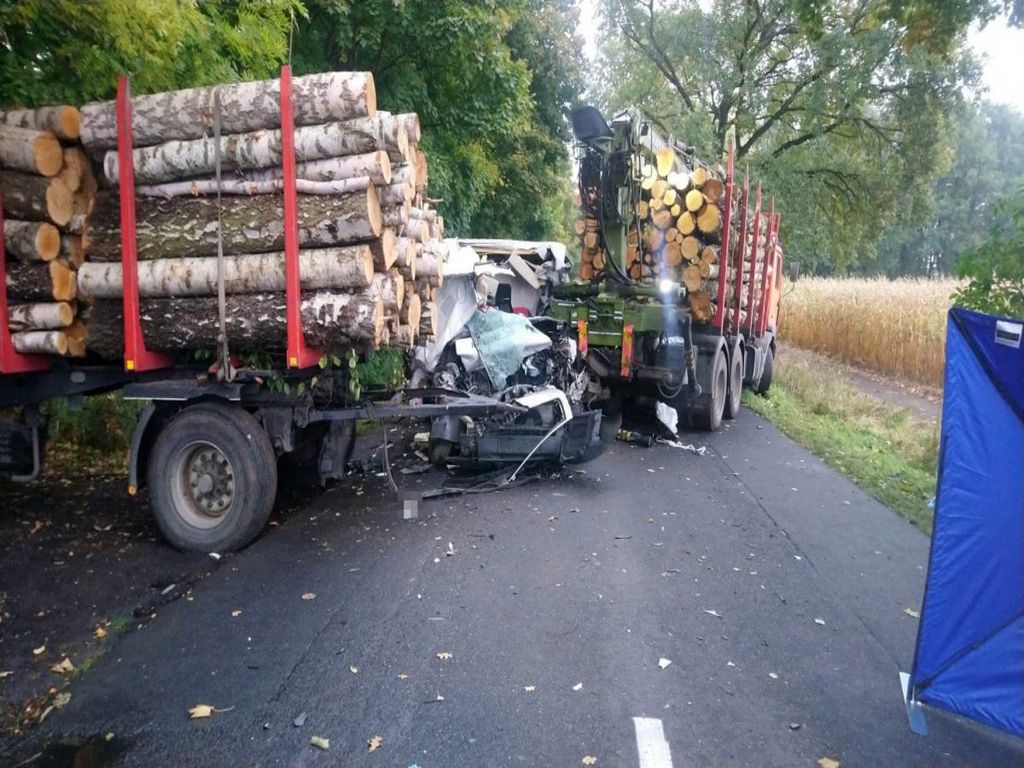 transport drewna, Dąbrowa Chełmińska, powiat bydgoski, KMP Bydgoszcz