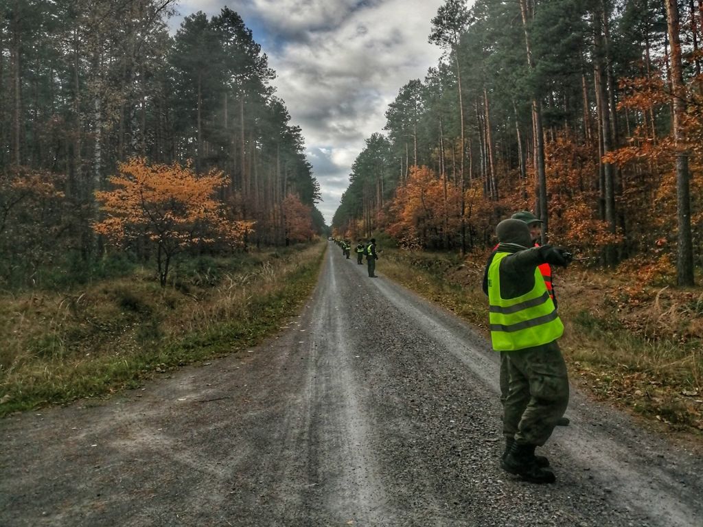 poszukiwania padłych dzików, walka z ASF w Polsce, Nadleśnictwo Mielec