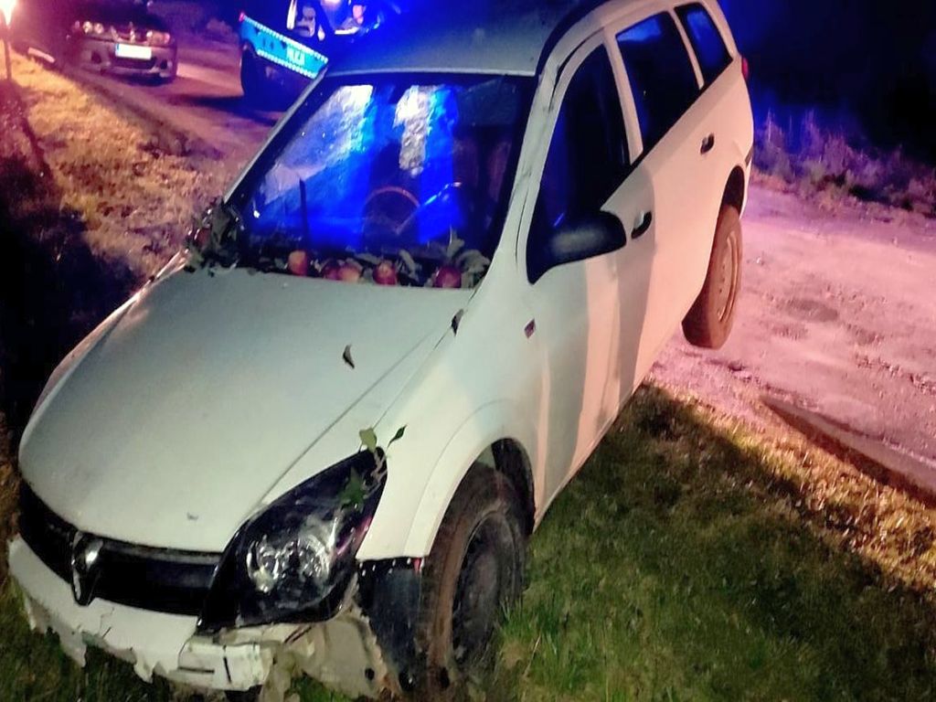 pijani traktorzyści, zniszczony sad, Paweł Cieliczko,  Edyta Krystkowiak. gmina dołhobyczów