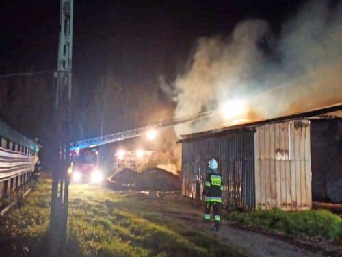 pożar na fermie drobiu, Kamion, Monika Michalczyk, KPP Żyrardów