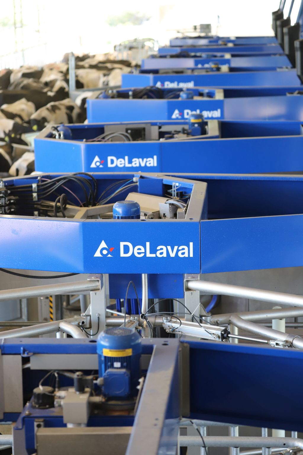 VMS Batch, DeLaval, VMS V300, krowy mleczne, robot udojowy, automatyczny dój, producenci mleka, hodowcy bydła