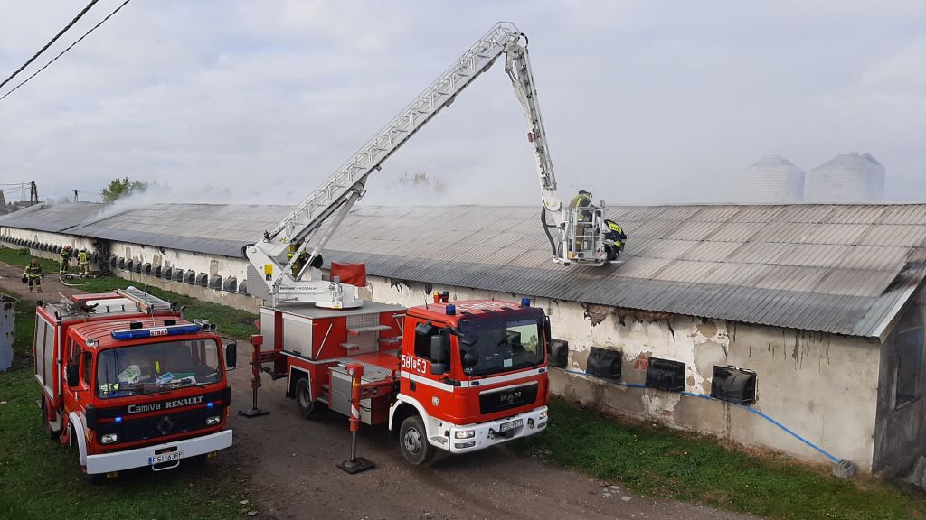 pożar kurnika, Cienin Zaborny, powiat słupecki, Mariusz Pawela