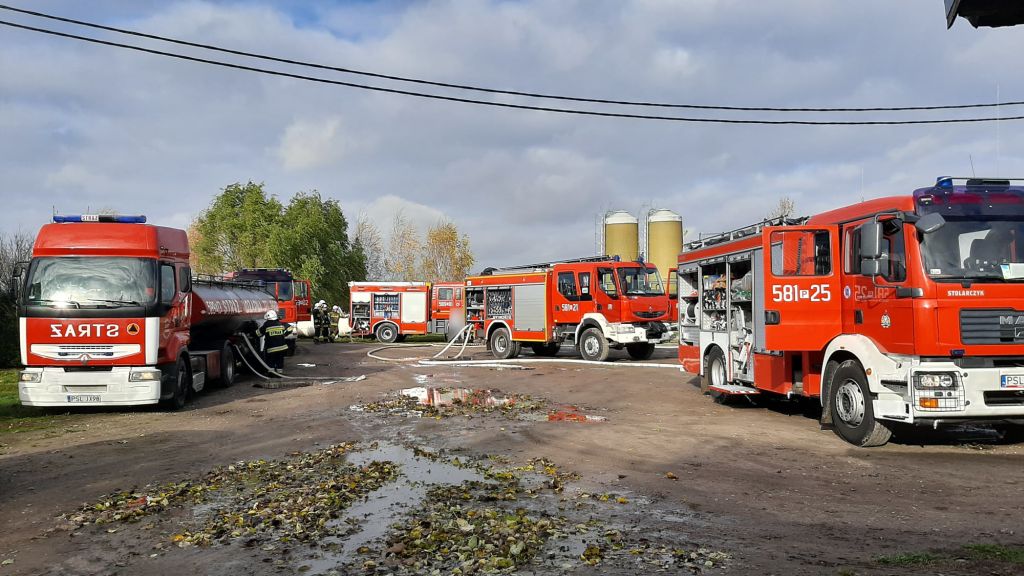 pożar kurnika, Cienin Zaborny, powiat słupecki, Mariusz Pawela