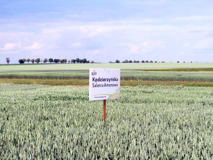 gospdoarstwo, pole, ciąggnik