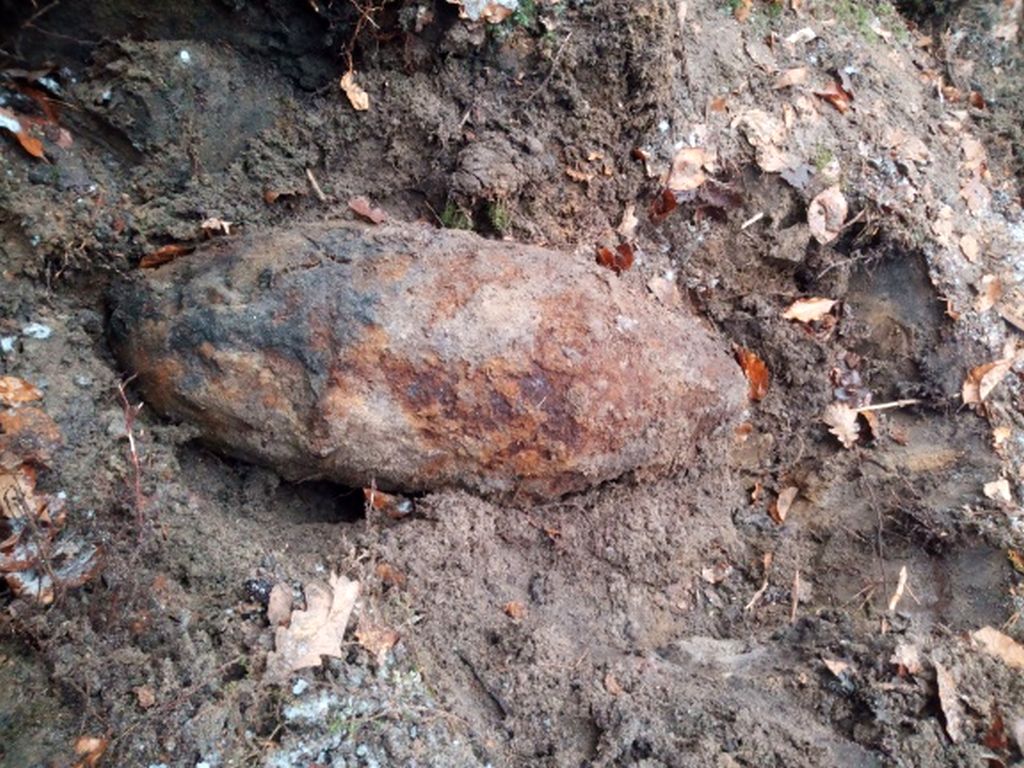 wycinka drzew, bomba lotnicza, Blizna, powiat ropczycko-sędziszowsk