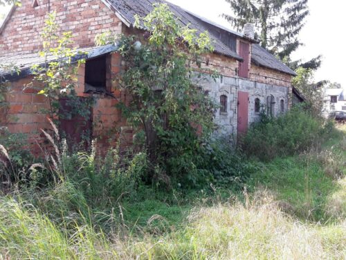 gospodarstwa rolne, powierzchnia użytków rolnych