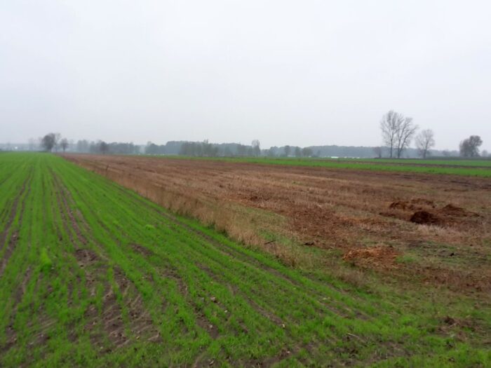 obornik, pryzma, załadunek