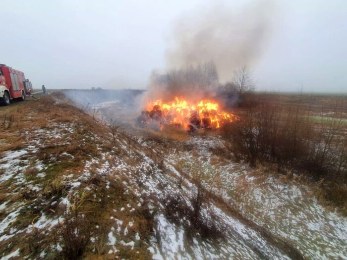 chodybki, wypalanie, ferma drobiu