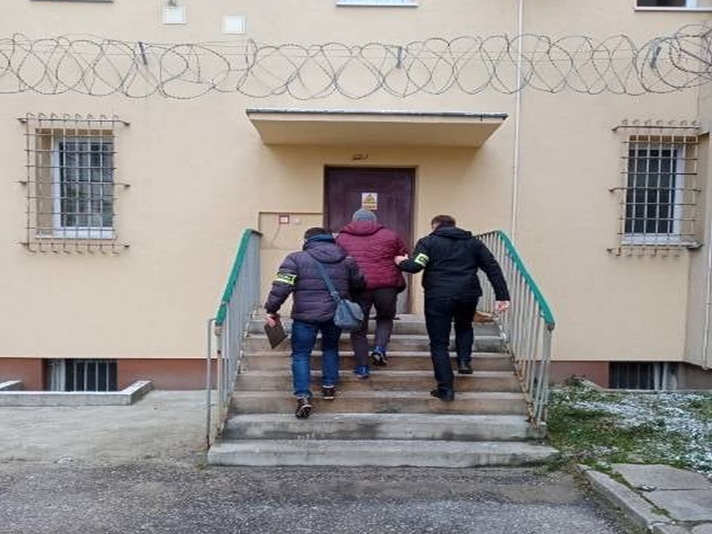 świadectwa zdrowia zwierząt, hodowla trzoda chlewnej, lekarze weterynarii, powiat piotrkowski