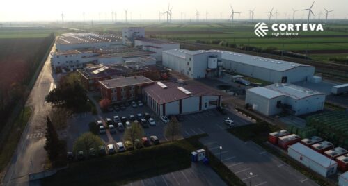 Corteva Agriscience, Parndorf, kukurydza, kolby kukurydzy, backdumping, Francisco Lynch, Austria, nasiona mieszańcowe