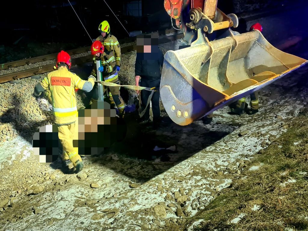 koń wpadł pod pociąg, Poronin, powiat tatrzański, OSP Poronin
