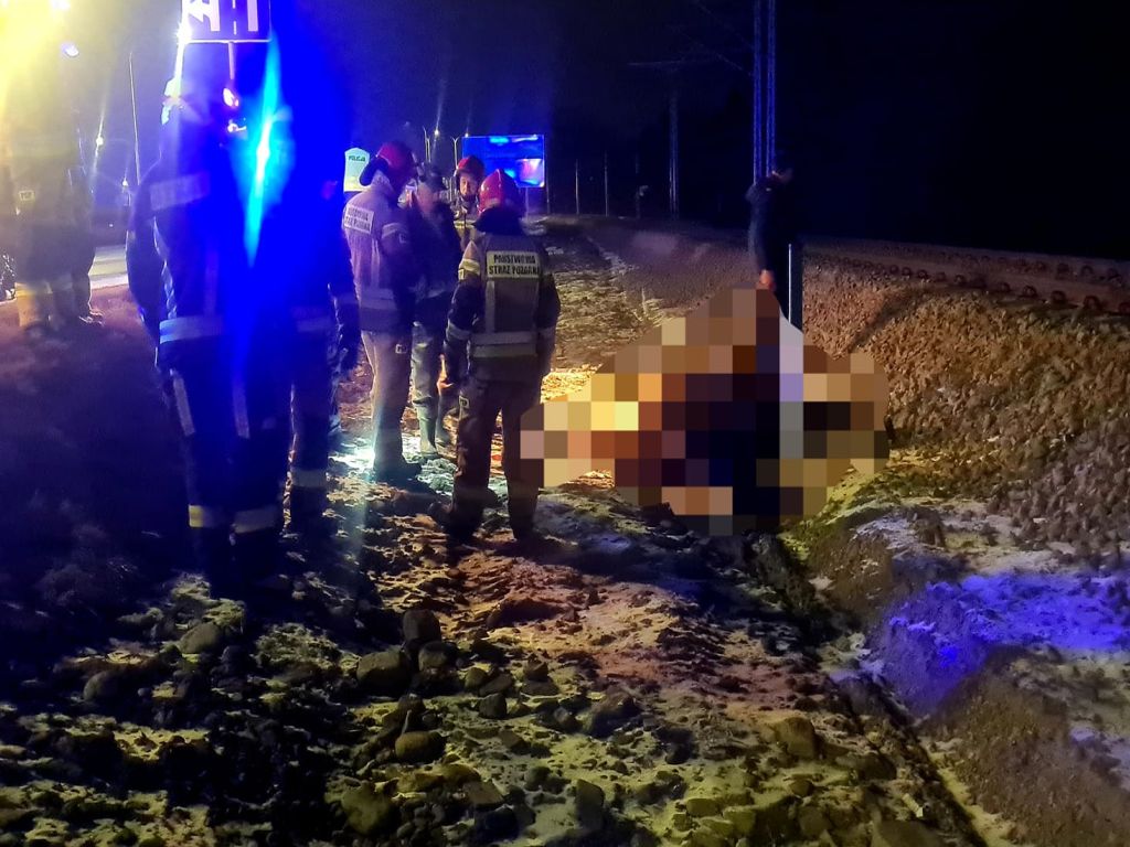 koń wpadł pod pociąg, Poronin, powiat tatrzański, OSP Poronin