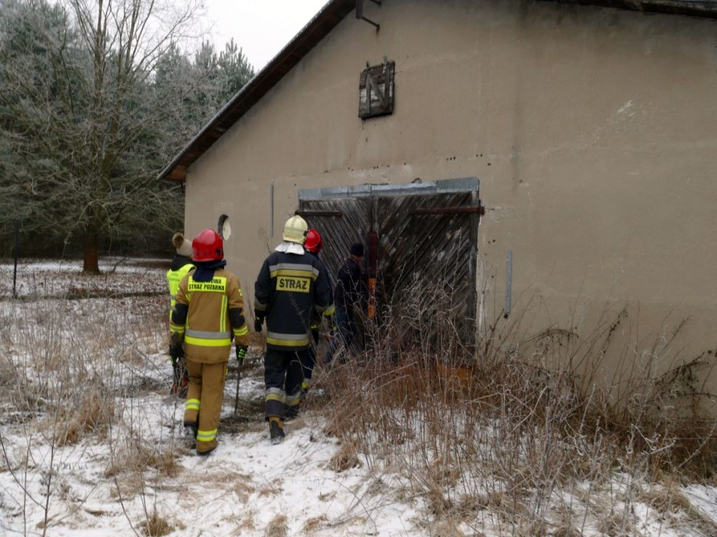 odpady w byłych kurnikach, Kolonia Głowa, Zgierz, WIOŚ Łódź