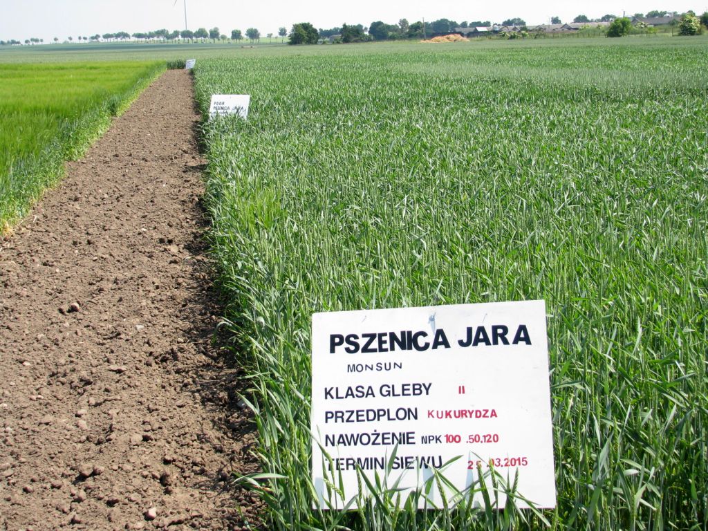 nawożenie, NIK, raport, gleba, uprawa, badanie gleby