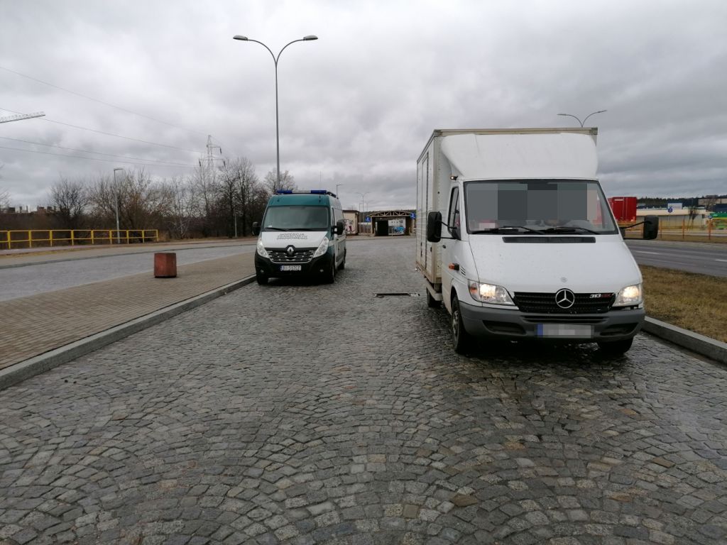 transport bydła, Inspekcja Transportu Drogowego, Inspekcja Weterynaryjna, Brzuchania