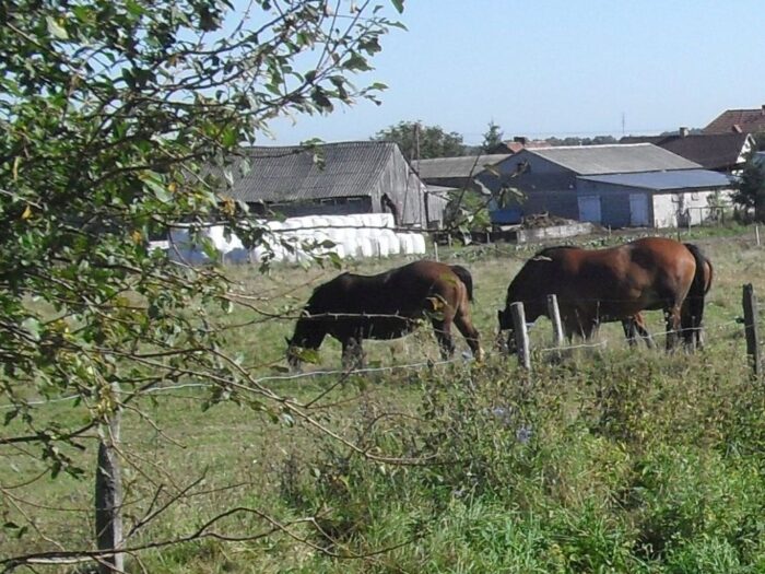 gospodarstwa rolne, powierzchnia użytków rolnych
