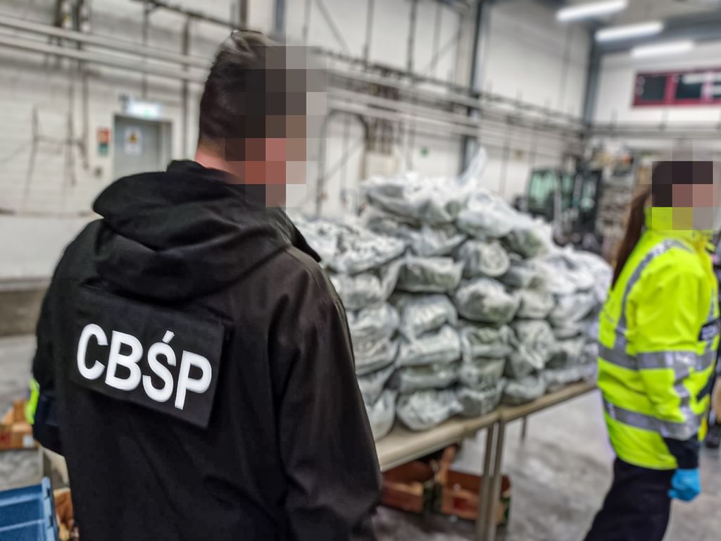 narkotyki w skrzyniach z pomidorami, CBŚ, przemyt narkotyków