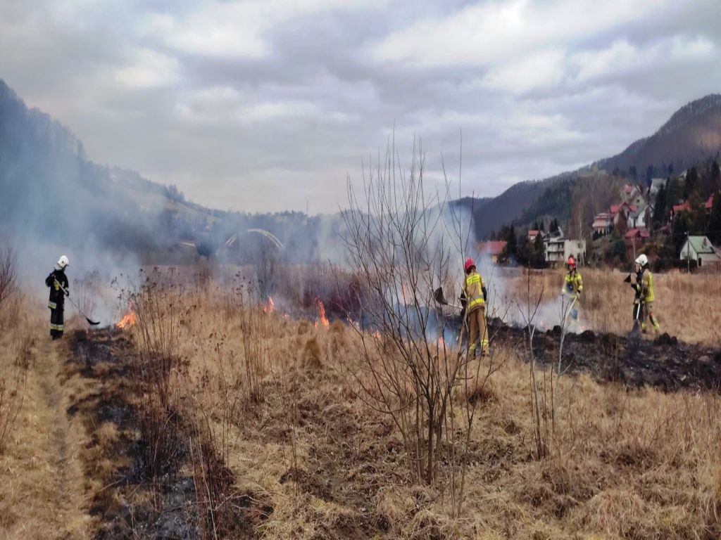 pożary traw, wypalanie traw, KM PSP w Nowym Sączu, Piwniczna, Sucha Struga