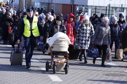 kontrola fitosanitarna, GIORiN, świeże owoce i warzywa, uchodźcy z Ukrainy