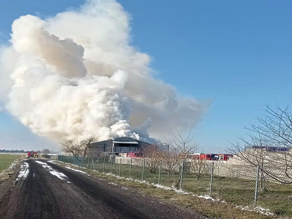 pożar kurnika, hodowla drobiu, KP PSP Parczew, Parczew
