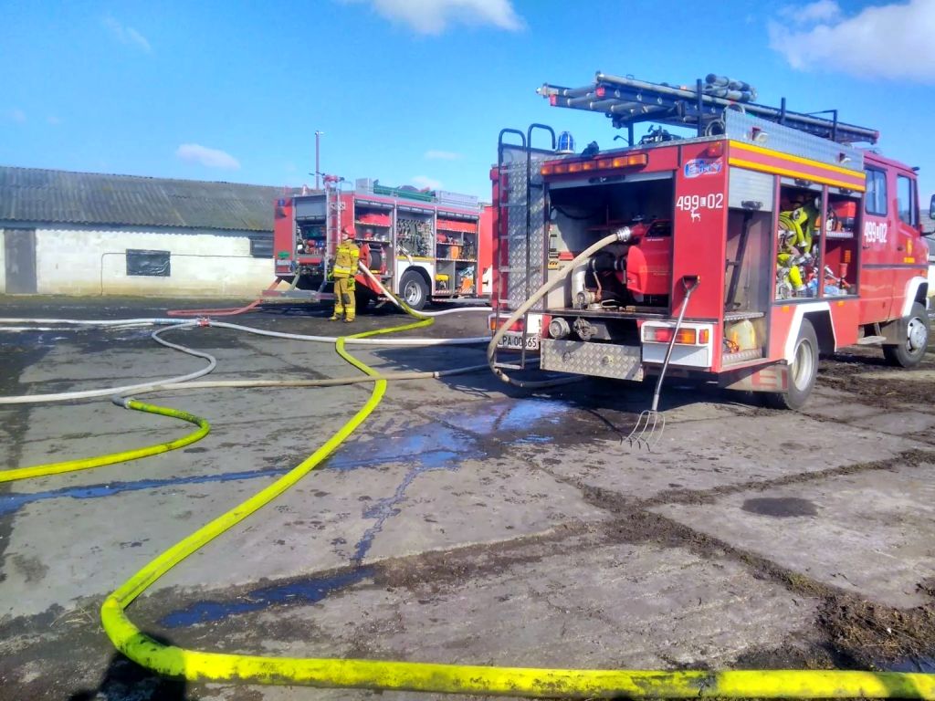 pożar kurnika, hodowla drobiu, KP PSP Parczew, Parczew
