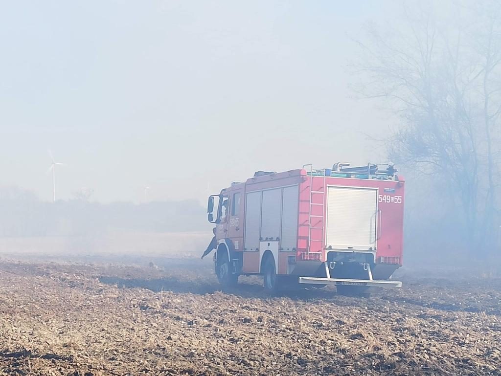 wypalanie traw i nieużytków, pozary traw, Małgorzata Pawłowska, Karol Kierzkowski