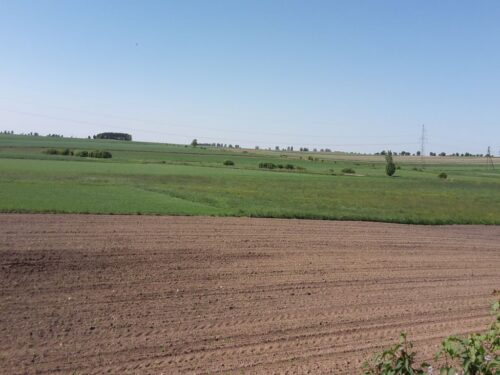 nawożenie, NIK, raport, gleba, uprawa, badanie gleby