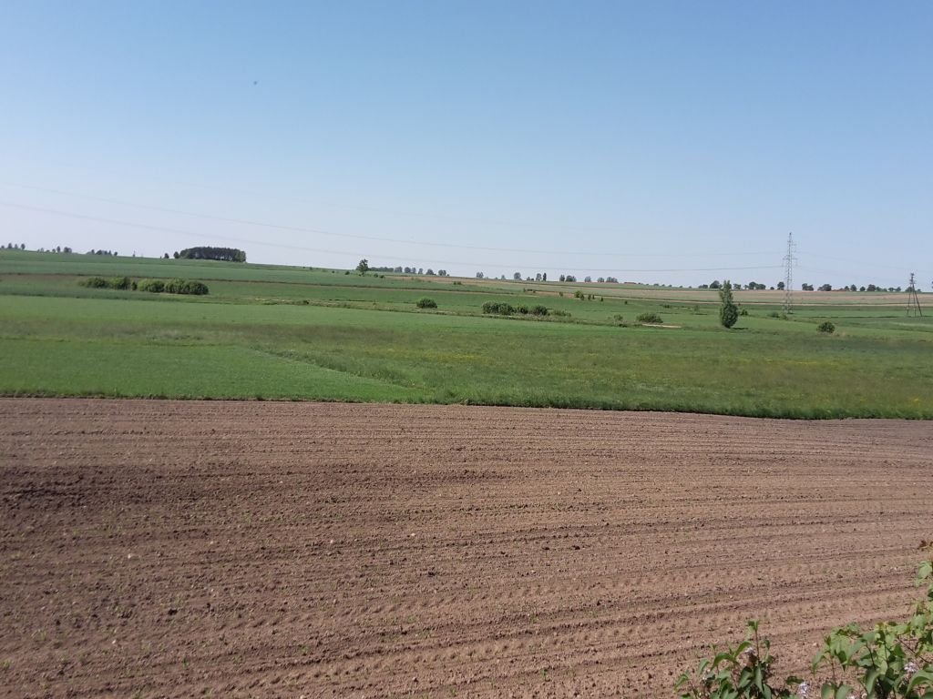 nawożenie, NIK, raport, gleba, uprawa, badanie gleby
