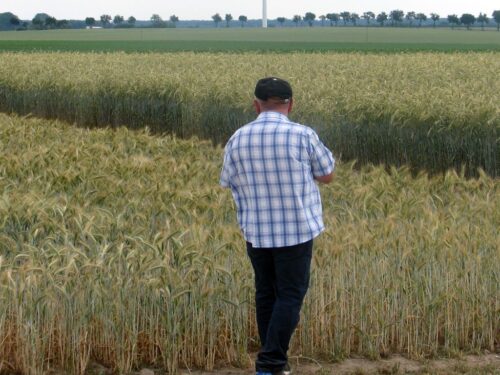 ubezpieczenie społeczne rolników, Sejm, działalność rolnicza, NSZZ RI "Solidarność", Teresa Hałas