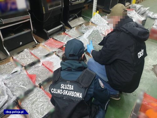 marihuana w transporcie pomarańczy, CBŚP, KAS, transport owoców