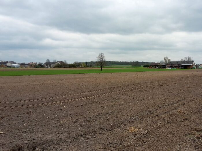 ustawa oddłużeniowa, KOWR, dugi gospodarstw, przejęcie ziemi
