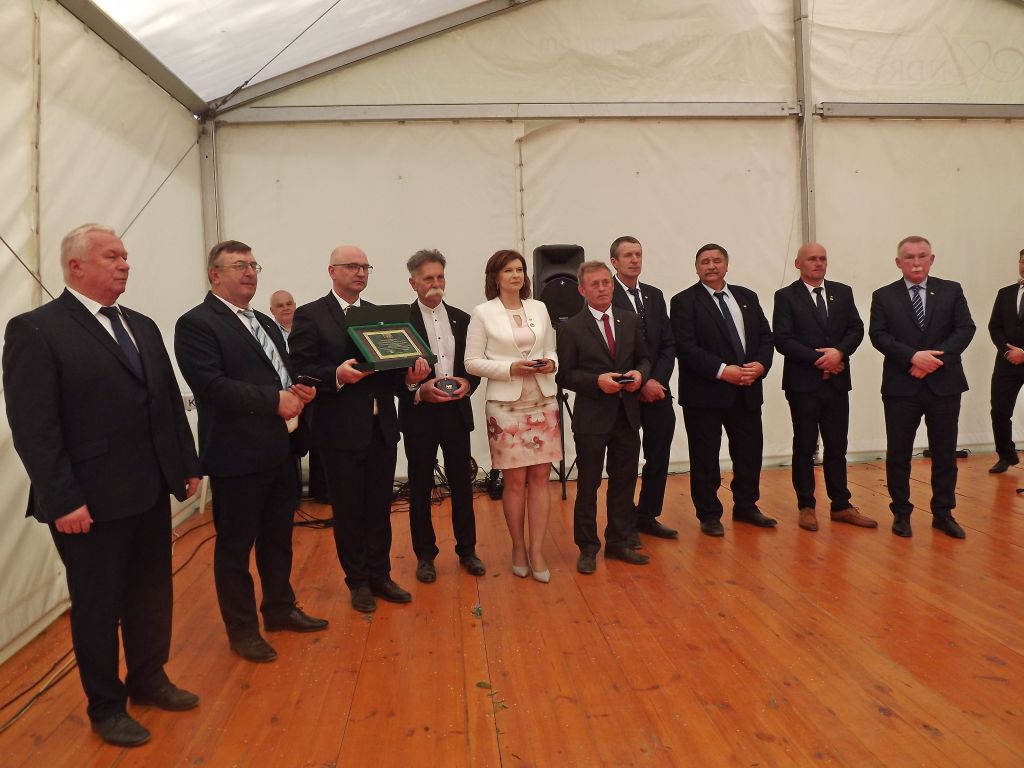 bydło białogrzbiete, krowy, cielęta, Polski Związek Hodowców Bydła Białogrzbietego, PFHBiPM, buhaje, geny, hodowcy