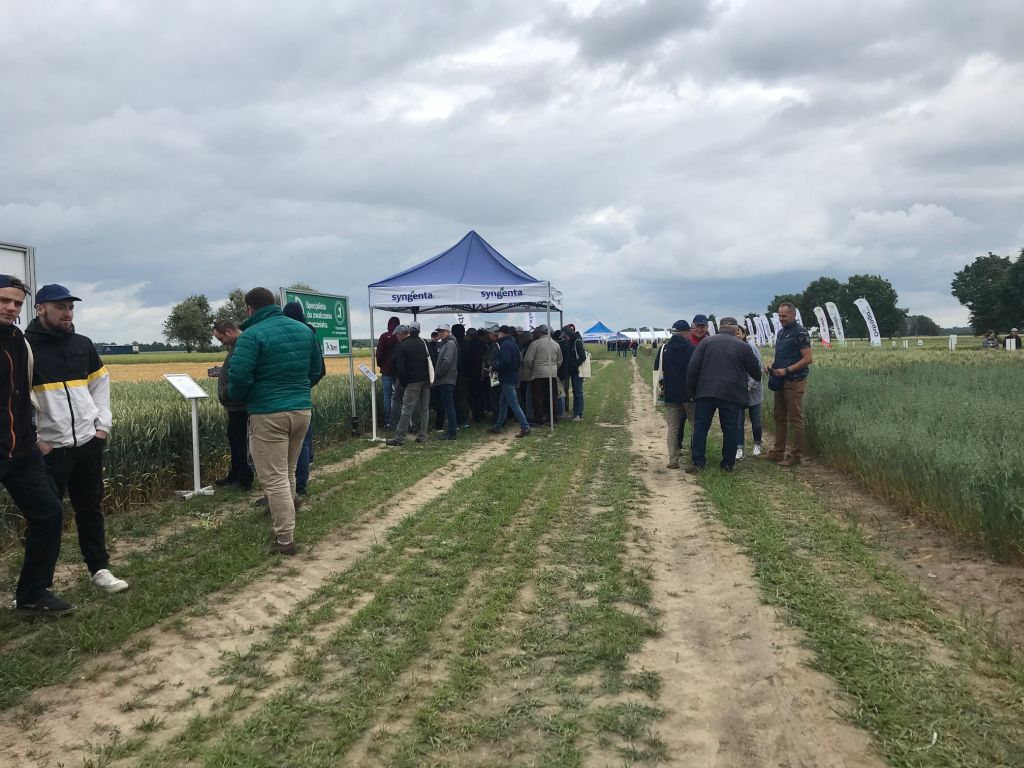 Danko, Syngenta, Szelejewo, rośliny bobowate, odmiany zbóż